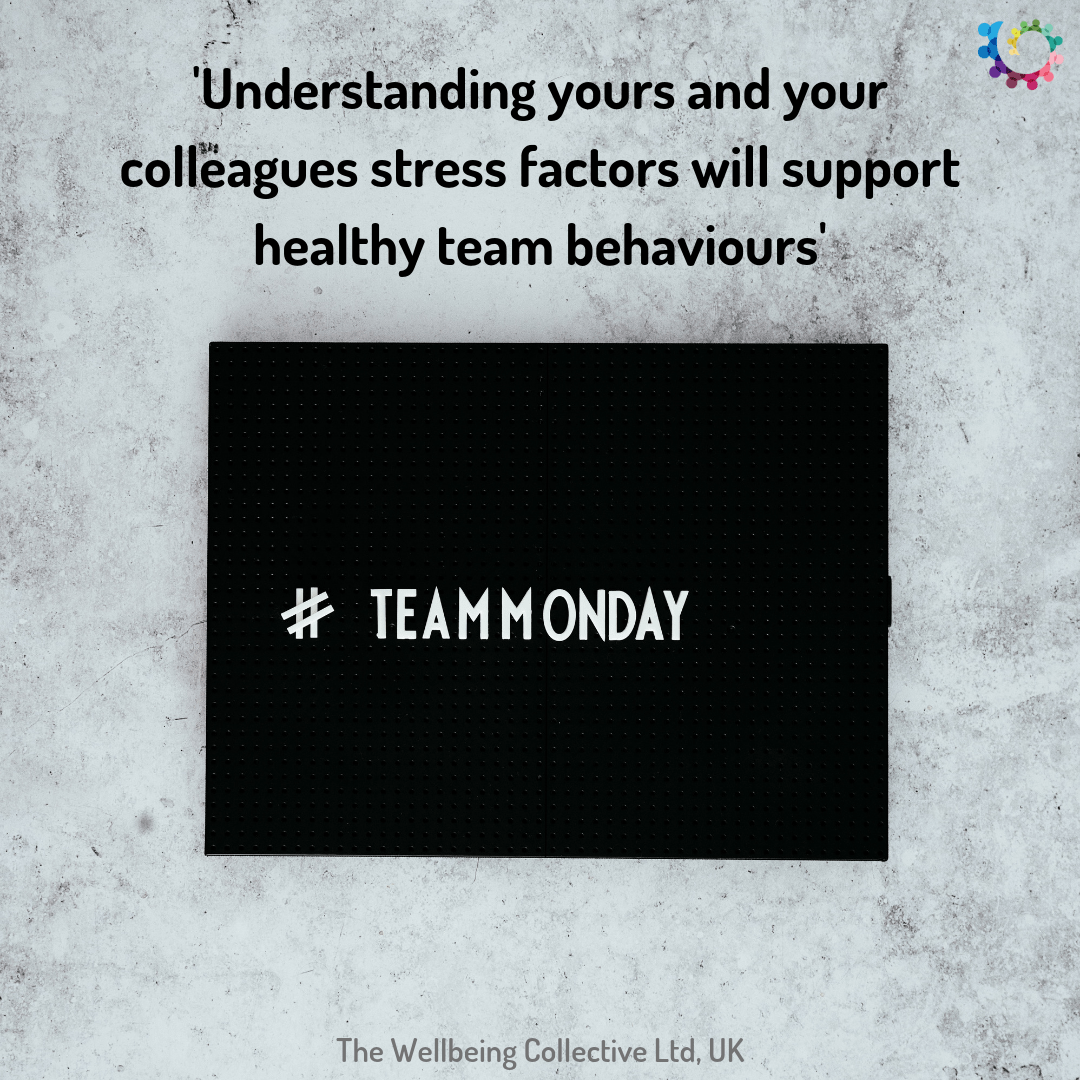 Understanding your own and your colleagues stress factors is invaluable in coping, understanding and supporting healthy team behaviours..png