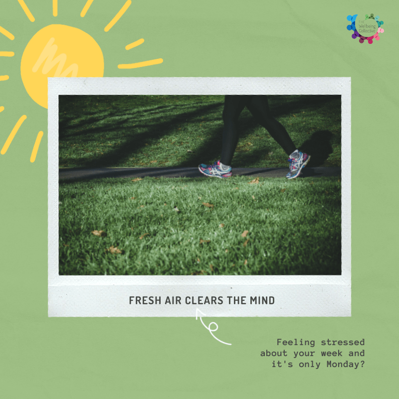 Green Cucumber Skincare Animated Social Media Graphic