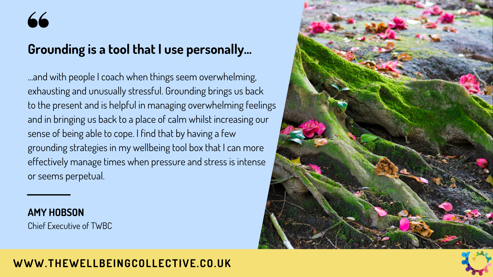 Grounding – A Trilogy of Blogs – The Wellbeing Collective Ltd